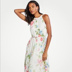 Ann Taylor Floral Belted Flare Dress